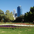 251-Perth City