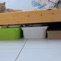 臥房：床上有貓床下堆積雜物（9-2勤大文三謝佩芸攝）11100.6.14..JPG