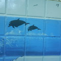 油漆畫的海豚