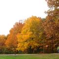 
位于渥太华近郊的Gatineau Park是一个欣赏秋叶的好地方。