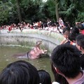 成都動物園遊 - 1