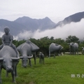 經過花東縱谷的美景，我們開著電動車四處遊園，把園裡的美景盡數看盡，意猶未盡的，逕自帶回來了，瞧，這幀相片老讓我想到孺子牛的文字來。

「橫眉冷對千夫指，俯首甘為孺子牛」，是魯迅的氣魄，我躲遠些吧。