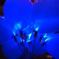 寶藍氣球
