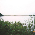 龜尾湖一景

