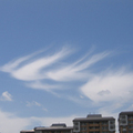 雲之翼