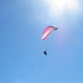 Queenstown - Skydiving