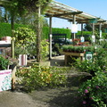 Stapeley Water Gardens - Garden Shop