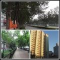 2011.7.8北京行 - 3