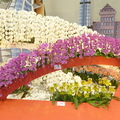 增艷台灣花卉展