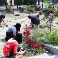 東高師生共同打造的閱讀花園 - 2