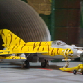 原來是波蘭空軍 MIG-21