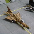 虎皮 MiG-21 又出現了