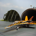 1/144 CANADA CF-188 Tigermeet