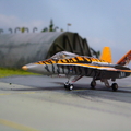 1/144 CANADA CF-188 Tigermeet