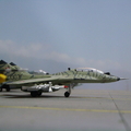 Slovakia Air Force MiG-29UBS