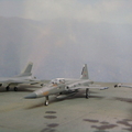 台東志航基地假想敵中隊 F-5F