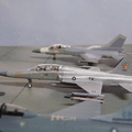 F-5E 已製作成美國海軍落日中隊假想敵戰機