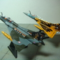 1/144 NTM 2010 Mirage 2000D 118-IG