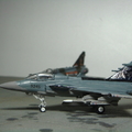 1/144 Czech Air Force JAS-39 NTM 2010