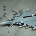 1/144 Czech Air Force JAS-39 NATO TigerMeet 2010