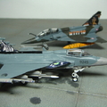 1/144 Nato Tigermeet 2010