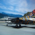 1/144 Belgian Air Force F-16AM Nato Tigermeet 2011