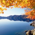 (10月下旬~11月上旬)    
  田澤湖是靠近秋田縣東部中心的破火山口湖，水深423.4米，居日本第一，水的透明度也居日本第二位。湖的形狀近似正圓形，琉璃色的湖水微波蕩漾、神秘莫測，四周綿延不斷的山脈安穩恬靜，充滿著一片明媚的氣氛。 
