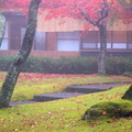   箱根神社於757年由萬?上人創建在自古就是山嶽信仰一大聖地的箱根山上，曾為源賴朝、德川家康等許多武將所信奉，是具有歷史的神社。 
