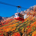    秋天是紅葉的季節，立山是日本最早可以觀賞紅葉的地方，因海拔高度的不同，觀賞美麗楓葉最佳時間是從9月至11月，立山同時也是觀賞期間最長的觀光路線。 
