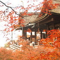    京都最古老的寺院，為棟樑結構式寺院。依懸涯峭壁而建，大殿前為懸空的“舞台”，由139根高數十米的大圓木支撐。寺院建築氣勢宏偉，結構巧妙，未用一根釘子。清水寺正殿旁有一山泉，稱為音羽瀑布，流水清冽，終年不斷，被列為日本十大名水之首，清水寺爰此而得名 
