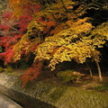    哲學之道從若王子神社到銀閣寺，全長約2公里，與琵琶湖疏水分流渠並行，是京都的以條著名的旅遊散步小路，頗有小橋流水之趣。哲學之道是由於日本的哲學家西田幾太郎經常在此散步而得名。哲學之路還是“日本之路百選”選定的散步道路。 
