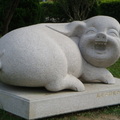 留職停薪-峨眉湖-天恩彌勒佛院旁邊的小豬