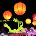 2010台灣燈會在嘉義市舉辦。歲次庚寅，主燈為「福臨寶島」、副燈為「鰲躍江海」、「瑞鳳翔飛」、「龍戲虎祈福燈」、「麒麟獻瑞」。嘉義市以「嘉有囍事」為名，果然名副其實，舉辦得有聲有色！