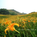 2011年9月，再度拜訪後山花蓮。慕谷慕魚山水景色令人印象深刻，湛藍的七星潭海岸，黃橙橙的忘憂草「六十石山」。「花蓮」好山好水好風景，真是台灣的一塊淨土。