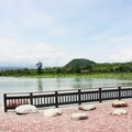 台東森林公園鷺鷥湖