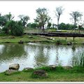 原生植物園裡的生態池與海岸林區(一)