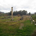 阿提米斯神廟