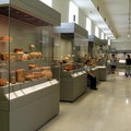 雅典國立考古博物館(National Archaeological Museum)