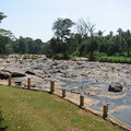 大象孤兒院附近Maha Oya河