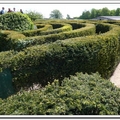 圖引：http://en.wikipedia.org/wiki/File:Leeds_castle_maze.JPG