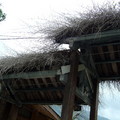 布農部落有著特殊的屋頂特色
