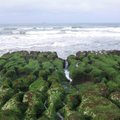 還有不少攝影師來這取景呢! 老梅沙灘上有著特殊的海岸景觀「石槽」，或稱「海蝕溝」! 老梅的綠藻石槽是攝影師的最愛， 當綠藻密佈時，常可見到攝影師拿著相機，不畏海水飛濺， 在石槽上以各種角度拍攝綠色石槽與海水交會時的奇妙畫面!! 

