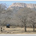    位於印度拉賈斯坦(Rajasthan)邦的Sawai Madhopur區。
   被譽為世界上觀看野生老虎的最佳地點，以及野生動物攝影師的天堂。