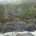 Andalsnes to Oslo 風光 - 10