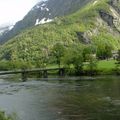 Andalsnes to Oslo 風光 - 4