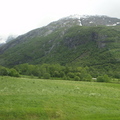 Andalsnes to Oslo 風光 - 9