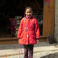 藏族小女蛙