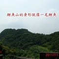 碧湖圓覺鯉魚山 - 27