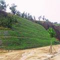 reinforced soil slope - 1