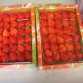 大湖草莓5
